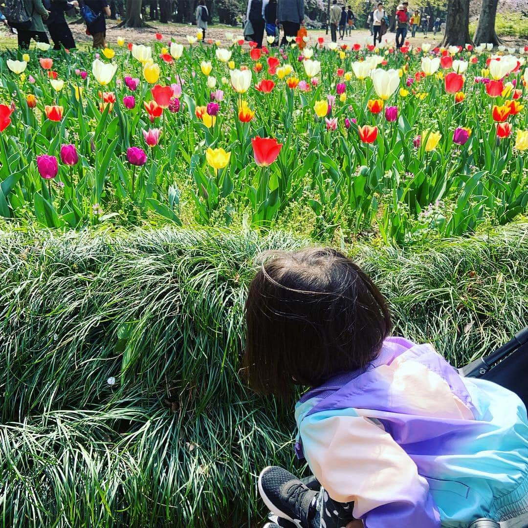 大和田美帆さんのインスタグラム写真 - (大和田美帆Instagram)「幼稚園生になったワガコ。 嬉しそうに制服を着る姿に 幸せなのに 少しだけ寂しくなる母の春。」4月9日 12時36分 - miho_ohwada