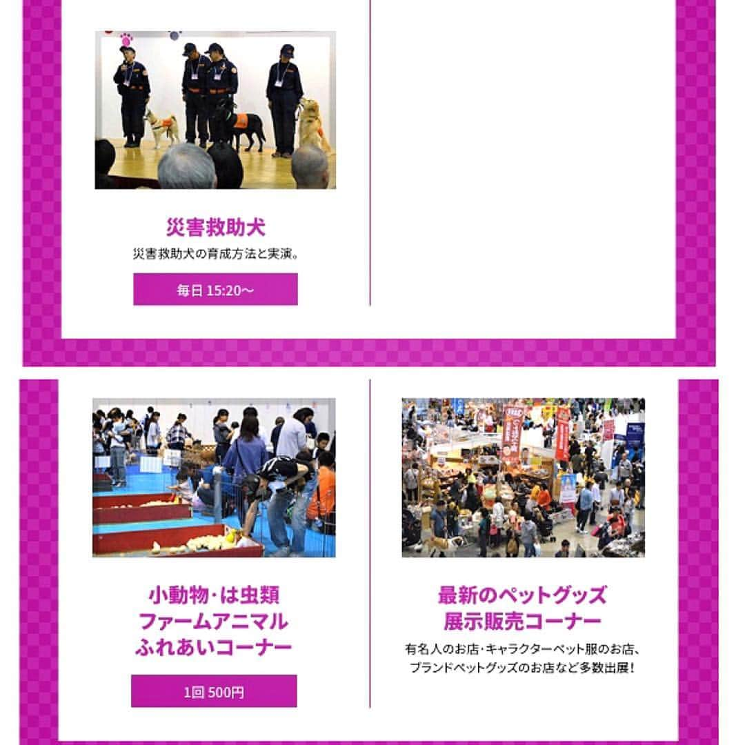 大原かおりさんのインスタグラム写真 - (大原かおりInstagram)「幕張ペット博💁🐶😻🐒🦉💕* 5月3日(祝・金)～5月6日(日)のゴールデンウィークは、幕張メッセでペット博が開催されます❤️ 今回もOtty(オッティ)は、ブース出展しますのでお近くの方は遊びに来て下さいねっ😘🎶 ☺︎ 発売スタートの遅い…Otty春夏新作商品のお披露目がようやくスタートですー👏🤣www 今年は久しぶりにキャリーカゴバッグ発売します💖 キティちゃんやキキララ ちゃんのクールタンクやワンピも新作出ます💖 (当日お持ち帰りできる商品とサンプルのみの商品がございます商品は全て試着出来ます♡) 新作商品のお写真は、改めて徐々にアップしていきますね🐶💖 ☺︎ ペット博特別プライスの、とってもお買取な夏服も沢山ありますのでいっぱいGetしに来てください❤️ ☺︎ 今回もメインステージで『大原がおりのジャンケン大会』あります😉✊✌️🖐 4日間とも13時からになります♡ 沢山プレゼント持って行きますので参加して下さいなっ😉✊️✌️🖐❣️ ☺︎ そしてステージの時間以外は、ずっとOttyブースにいますので是非遊びに来て下さい〜🤗 * メインブースや運動場では沢山のイベントが♡♡♡ それ以外にも楽しい企画が満載の幕張ペット博、大切なペットちゃんとの素敵な思い出作りにぜひ遊びに来てください❤️ ☺︎ 🐶Pet博2019・幕張🐶 5月3日(祝・金)～5月6日(日) 10:00〜17:00 幕張メッセ 国際展示場 11 千葉市美浜区中瀬2-1 http://pethaku.com/makuhari * #Otty #Pet博 #幕張ペット博  #幕張メッセ #ペット同伴 #イベント #トークショー #松本くん #ポカスカジャン #大久保ノブオ さん #ボンボンコピーヌ #垣内りか ちゃん #垣内倶楽部 #大原がおり #オッティ #ペット博 #ゴールデンウィーク #ペットと一緒に #遊びに来てね #新作商品 #見に来てね #お待ちしてます #petstagram #dogstagram #catstagram #🐶 #😻 #🐷 #🐒 #❤️」4月9日 12時44分 - oharagaori_otty