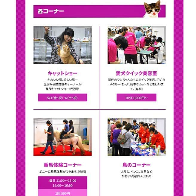 大原かおりさんのインスタグラム写真 - (大原かおりInstagram)「幕張ペット博💁🐶😻🐒🦉💕* 5月3日(祝・金)～5月6日(日)のゴールデンウィークは、幕張メッセでペット博が開催されます❤️ 今回もOtty(オッティ)は、ブース出展しますのでお近くの方は遊びに来て下さいねっ😘🎶 ☺︎ 発売スタートの遅い…Otty春夏新作商品のお披露目がようやくスタートですー👏🤣www 今年は久しぶりにキャリーカゴバッグ発売します💖 キティちゃんやキキララ ちゃんのクールタンクやワンピも新作出ます💖 (当日お持ち帰りできる商品とサンプルのみの商品がございます商品は全て試着出来ます♡) 新作商品のお写真は、改めて徐々にアップしていきますね🐶💖 ☺︎ ペット博特別プライスの、とってもお買取な夏服も沢山ありますのでいっぱいGetしに来てください❤️ ☺︎ 今回もメインステージで『大原がおりのジャンケン大会』あります😉✊✌️🖐 4日間とも13時からになります♡ 沢山プレゼント持って行きますので参加して下さいなっ😉✊️✌️🖐❣️ ☺︎ そしてステージの時間以外は、ずっとOttyブースにいますので是非遊びに来て下さい〜🤗 * メインブースや運動場では沢山のイベントが♡♡♡ それ以外にも楽しい企画が満載の幕張ペット博、大切なペットちゃんとの素敵な思い出作りにぜひ遊びに来てください❤️ ☺︎ 🐶Pet博2019・幕張🐶 5月3日(祝・金)～5月6日(日) 10:00〜17:00 幕張メッセ 国際展示場 11 千葉市美浜区中瀬2-1 http://pethaku.com/makuhari * #Otty #Pet博 #幕張ペット博  #幕張メッセ #ペット同伴 #イベント #トークショー #松本くん #ポカスカジャン #大久保ノブオ さん #ボンボンコピーヌ #垣内りか ちゃん #垣内倶楽部 #大原がおり #オッティ #ペット博 #ゴールデンウィーク #ペットと一緒に #遊びに来てね #新作商品 #見に来てね #お待ちしてます #petstagram #dogstagram #catstagram #🐶 #😻 #🐷 #🐒 #❤️」4月9日 12時44分 - oharagaori_otty