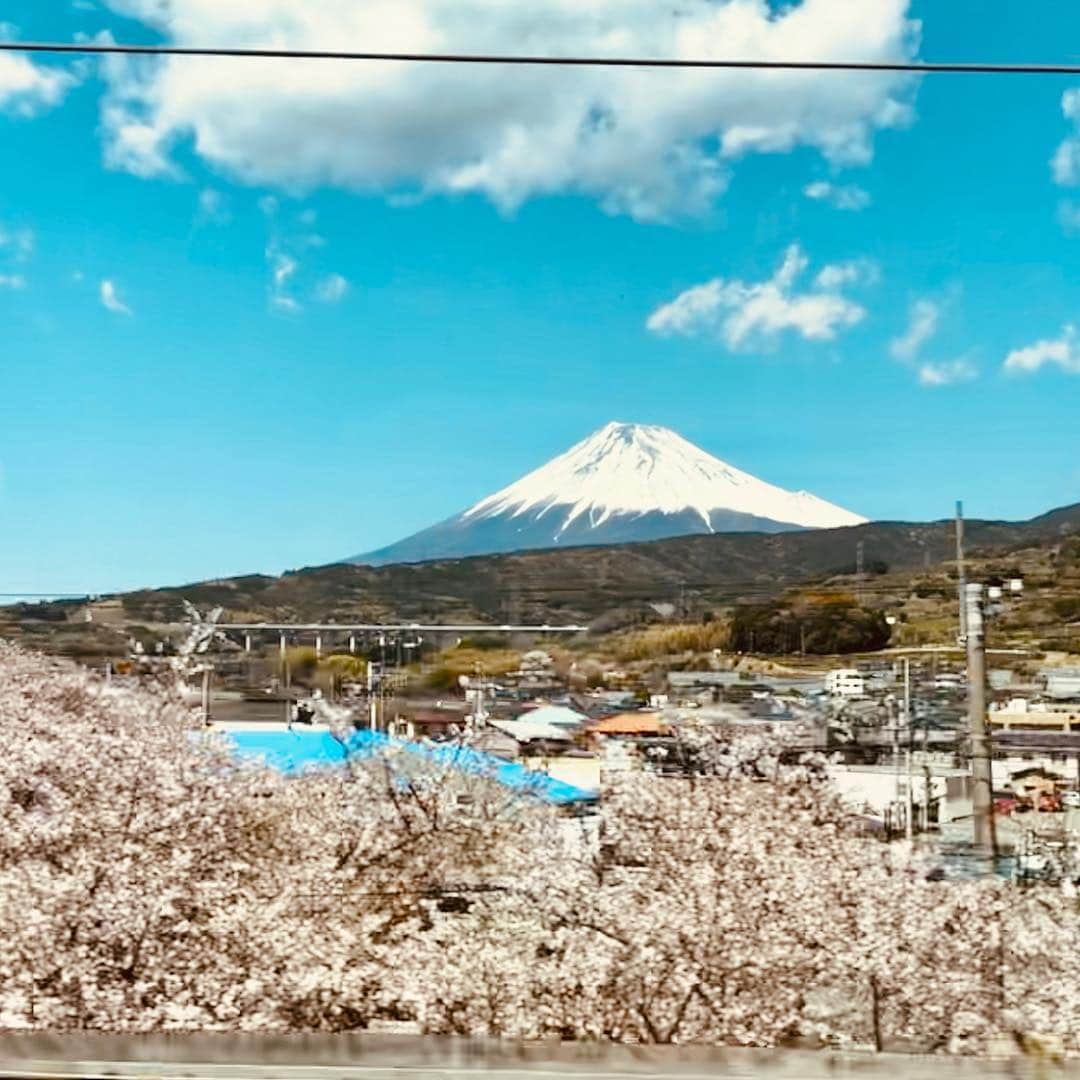 団長安田のインスタグラム