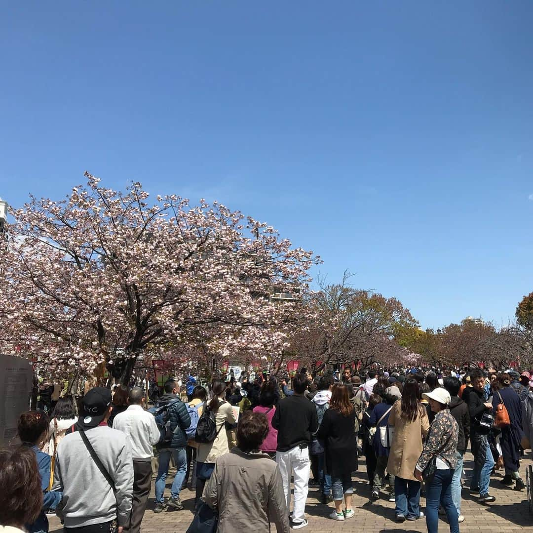 澤田亜紀さんのインスタグラム写真 - (澤田亜紀Instagram)「造幣局の桜の通り抜け🌸 さすが初日、すごい人でした(・ω・) ベビ様は、安定の花より団子(笑) #造幣局 #桜の通り抜け #花より団子」4月9日 13時13分 - aki_sawada_107