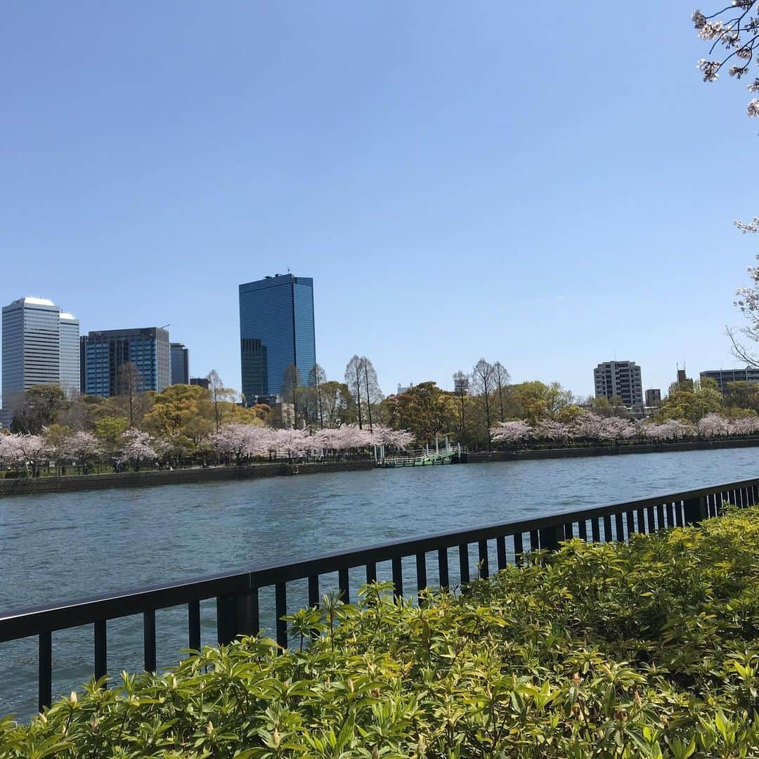 澤田亜紀さんのインスタグラム写真 - (澤田亜紀Instagram)「造幣局の桜の通り抜け🌸 さすが初日、すごい人でした(・ω・) ベビ様は、安定の花より団子(笑) #造幣局 #桜の通り抜け #花より団子」4月9日 13時13分 - aki_sawada_107