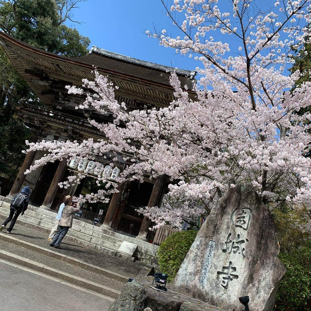 宮吉拓実のインスタグラム：「🌸🍡 #三井寺 #園城寺 #力餅 #滋賀」