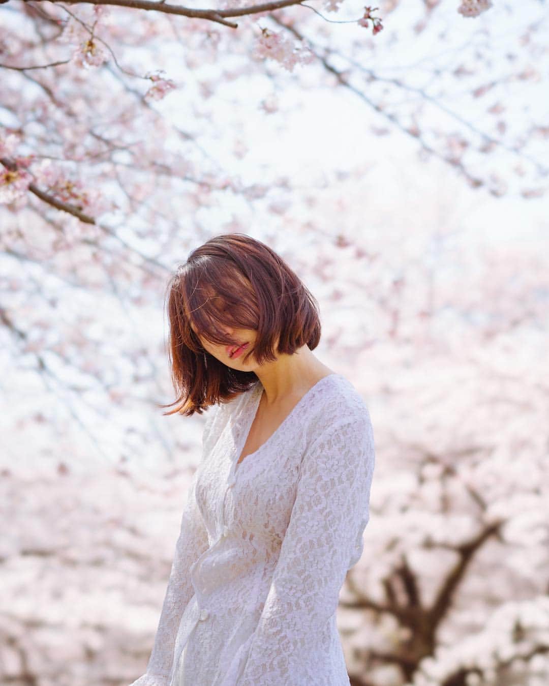 Akiomi Kurodaさんのインスタグラム写真 - (Akiomi KurodaInstagram)「桜、ただし二年前。」4月9日 13時11分 - artratio