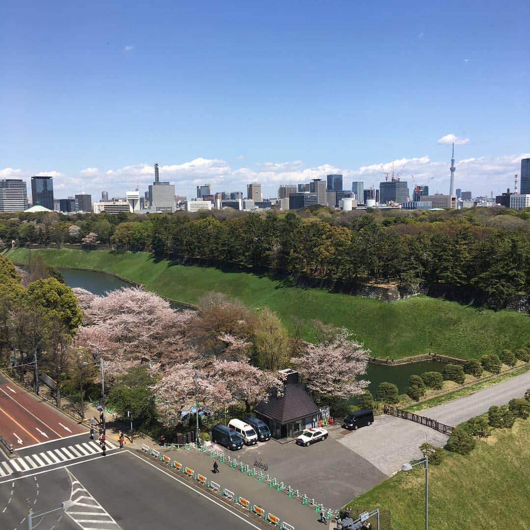 荻原和歌さんのインスタグラム写真 - (荻原和歌Instagram)「今日の料理長仕事と皇居の桜。 新玉ねぎが美味しくなってきた。 #cherryblossom #vegetables #野菜 #野菜料理 #焼酎ダイニングyasu #荻原和歌 #umami #おつまみ」4月9日 13時20分 - ogiwaka