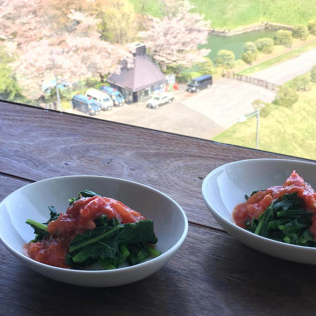 荻原和歌のインスタグラム：「今日の料理長仕事と皇居の桜。 新玉ねぎが美味しくなってきた。 #cherryblossom #vegetables #野菜 #野菜料理 #焼酎ダイニングyasu #荻原和歌 #umami #おつまみ」