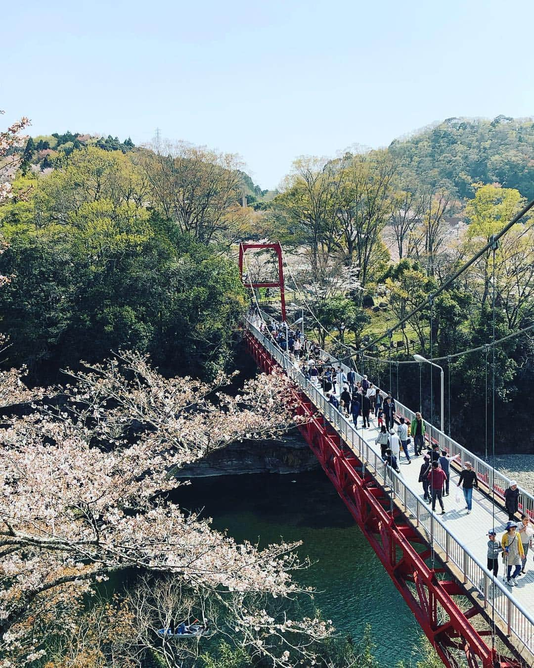 yukaさんのインスタグラム写真 - (yukaInstagram)「春うらら。 ・ ・ ・ #team_jp_春色2019  #igersjp  #ig_japan  #indies_gram  #canon  #visitjapan  #aichi #ひがしみかわ」4月9日 13時40分 - yuka_ff