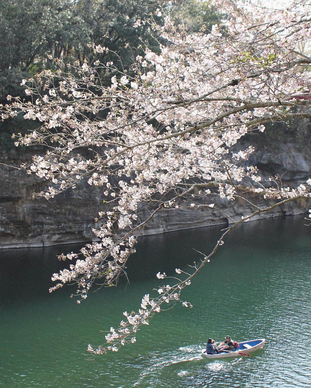 yukaさんのインスタグラム写真 - (yukaInstagram)「春うらら。 ・ ・ ・ #team_jp_春色2019  #igersjp  #ig_japan  #indies_gram  #canon  #visitjapan  #aichi #ひがしみかわ」4月9日 13時40分 - yuka_ff