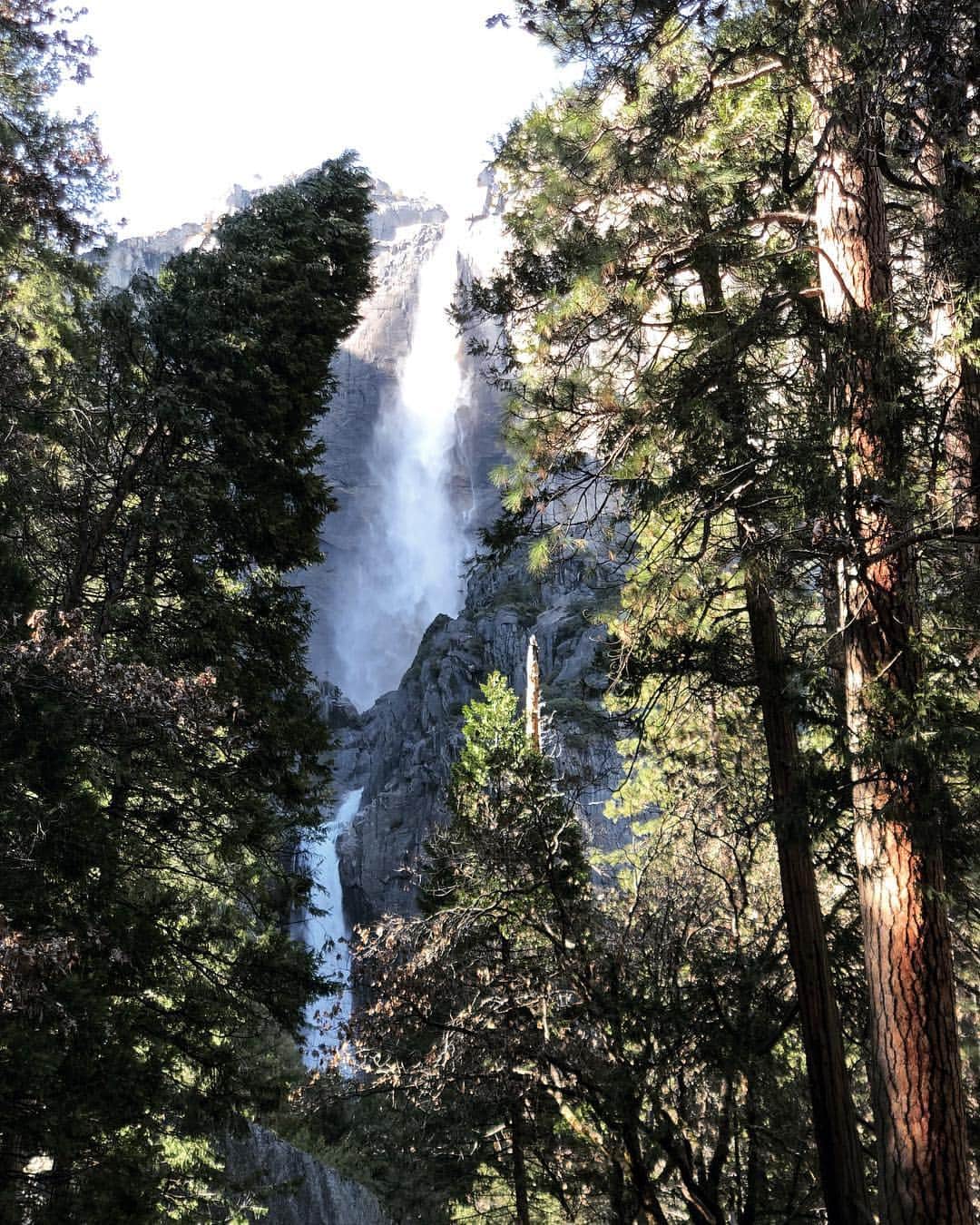 虎牙光揮さんのインスタグラム写真 - (虎牙光揮Instagram)「I went to the Yosemite National Park🏞 There was awesome!!! #yosemite #yosemitenationalpark #trip #california #usa」4月9日 14時22分 - mickeykoga