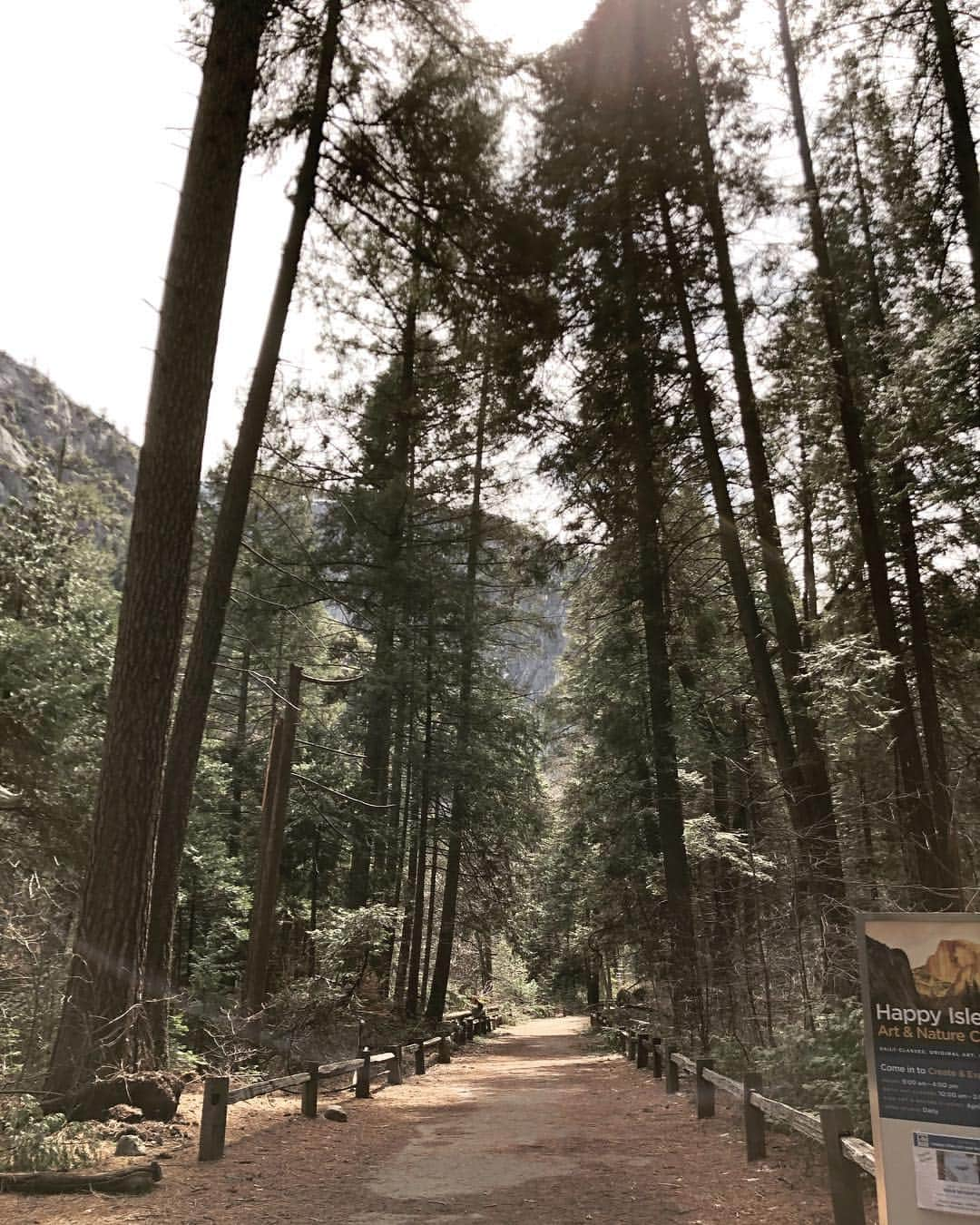 虎牙光揮さんのインスタグラム写真 - (虎牙光揮Instagram)「I went to the Yosemite National Park🏞 There was awesome!!! #yosemite #yosemitenationalpark #trip #california #usa」4月9日 14時22分 - mickeykoga