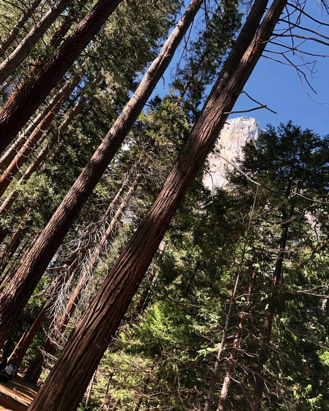 虎牙光揮さんのインスタグラム写真 - (虎牙光揮Instagram)「I went to the Yosemite National Park🏞 There was awesome!!! #yosemite #yosemitenationalpark #trip #california #usa」4月9日 14時22分 - mickeykoga