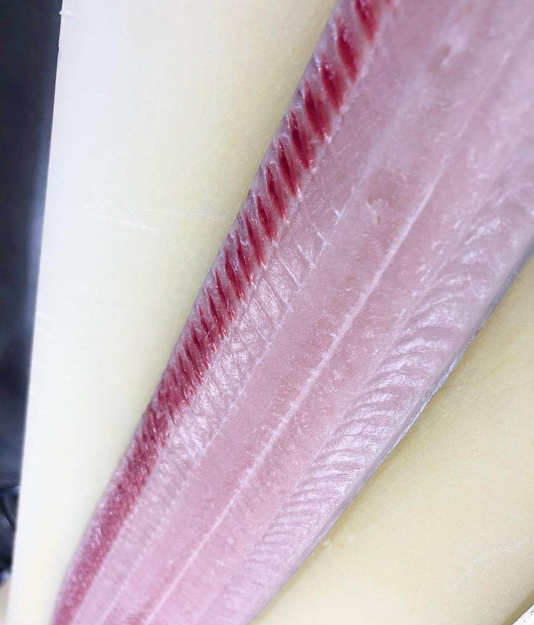 寿司居酒屋 番屋のグルメインスタ