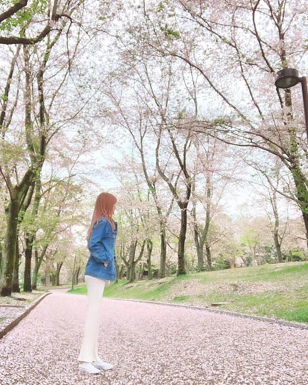 桃華絵里さんのインスタグラム写真 - (桃華絵里Instagram)「桜の絨毯を歩くシアワセ🌸 ・ 春は あちらこちらが かわいいんですよね〜♡ ・ ・ #sakura #桜の絨毯  #love #spring #cute  #fashion #ootd  #happyness #pink」4月9日 14時29分 - _momoka828_