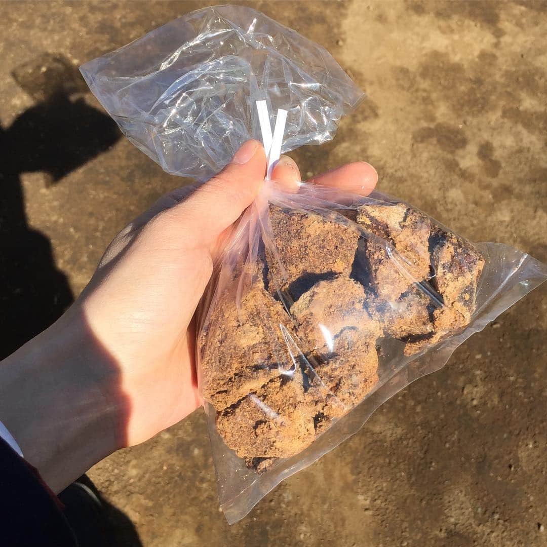 奥田恵梨華さんのインスタグラム写真 - (奥田恵梨華Instagram)「これは、土ではない。黒糖。」4月9日 14時30分 - erikaokuda_official