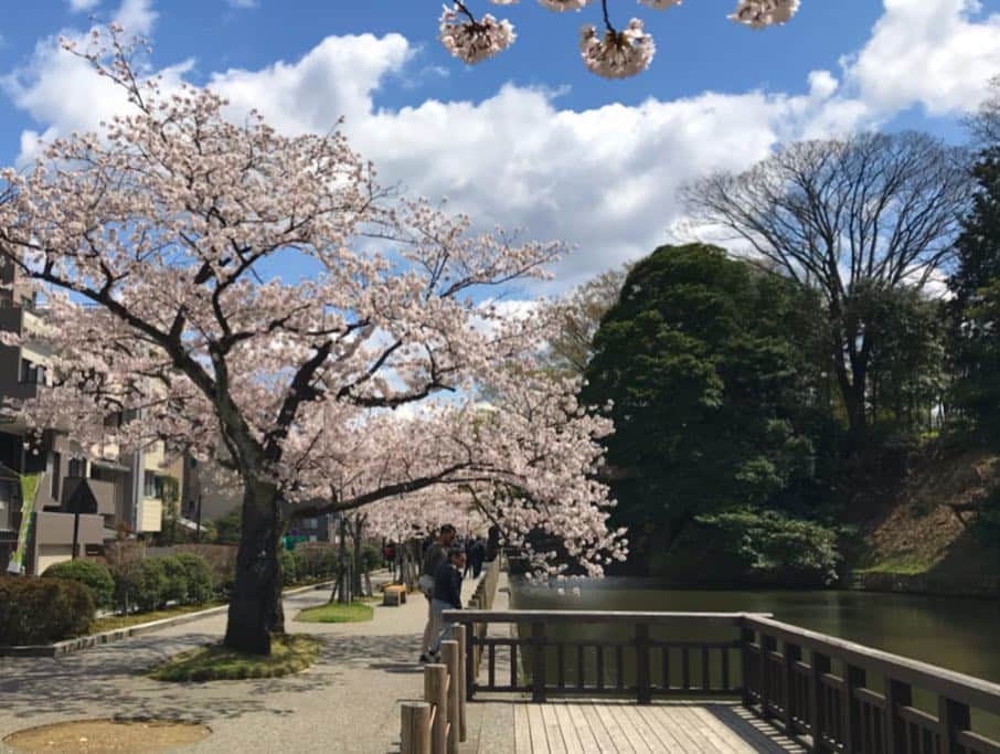 ホテルパシフィック金沢さんのインスタグラム写真 - (ホテルパシフィック金沢Instagram)「. 2019.4.9﻿ ﻿ みなさんこんにちは🌸﻿ ﻿ 少し風が冷たいですが、﻿ ご近所の大手堀付近の桜も満開となり、﻿ お花見日和な火曜日ですね☀️﻿ ホテルに宿泊のお客様も、朝からドリンク片手に﻿ でかけていく姿が清々しく、﻿ 見ているこっちもハッピーな気持ちです☆☺️﻿ ﻿ さて、4月のイベントのご案内です👇﻿ ﻿﻿﻿﻿ ﻿ 【4月イベント】﻿ ﻿ Nice to meet you, Welcome to Kanazawa!﻿ ﻿﻿﻿﻿ ようこそ金沢へ、﻿﻿﻿﻿ 桜 芽吹く春のはじまり。﻿﻿﻿﻿ わたしからあなたへ、﻿﻿﻿﻿ そして ﻿﻿﻿﻿ あなたから誰かへと。﻿﻿﻿﻿ ﻿﻿﻿﻿ このはじまりが、﻿ あなたから誰かに繋がりますように、﻿﻿﻿ お花見団子をこしらえました。﻿﻿﻿﻿ ﻿﻿﻿﻿ うたた寝気分でひなたぼっこなまち歩きも心地よく。﻿﻿﻿﻿ ﻿﻿﻿﻿ カフェでひと呼吸して、あっちへ。またこっちへ。﻿﻿﻿﻿ おでかけマップとコーヒー片手に、﻿﻿﻿﻿ ﻿﻿﻿﻿ ﻿﻿﻿﻿ いってらっしゃい🙋‍♀️﻿﻿ ﻿﻿﻿﻿ −ご利用内容−﻿﻿﻿﻿ ﻿﻿﻿﻿ ☞ドリンクチケット配布期間4月5日ー4月11日﻿﻿﻿﻿ （カフェご利用の方に配布）﻿﻿﻿﻿ ☞ご利用期間 4月5日ー7月7日﻿﻿﻿﻿ ☞1ドリンクにつき1枚までのご利用でお願いします﻿﻿﻿ （アルコール以外）﻿﻿﻿﻿ ☞ドリンクチケットはご本人もしくは、ご本人以外の方でもご利用頂けます。﻿﻿﻿﻿ ﻿  3枚綴りですので、残りの半券を ご友人やご家族にプレゼントしてご使用いただく事も可能です。﻿﻿﻿ ﻿ ﻿ みなさんも、ぜひお花見前にお立ち寄りください🍡☕︎﻿ ﻿﻿﻿﻿ ﻿﻿ #hotelpacific #hotelpacifickanazawa #ホテルパシフィック #ホテルパシフィック金沢 #ホテル #hotel #japan #jpn #石川 #ishikawa #金沢 #kanazawa #旅行 #一人旅 #家族旅行 #女子旅 #travel #instatravel #renovation #リノベーション #renovationhotel #4月イベント#hpknicetoseeyou#お出かけマップ」4月9日 15時15分 - hotel_pacific_kanazawa