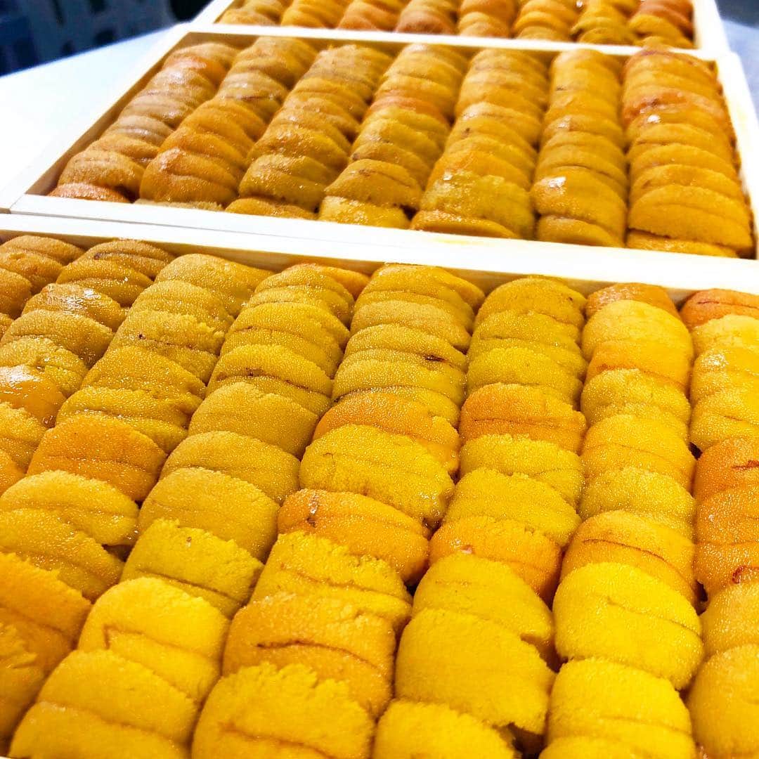 寿司居酒屋 番屋のグルメインスタ