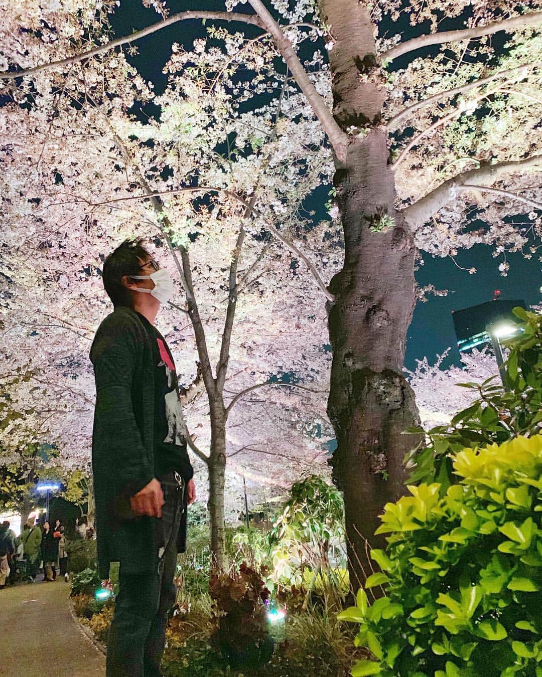 狩野英孝さんのインスタグラム写真 - (狩野英孝Instagram)「見上げてごらん。。」4月9日 15時34分 - kano9x
