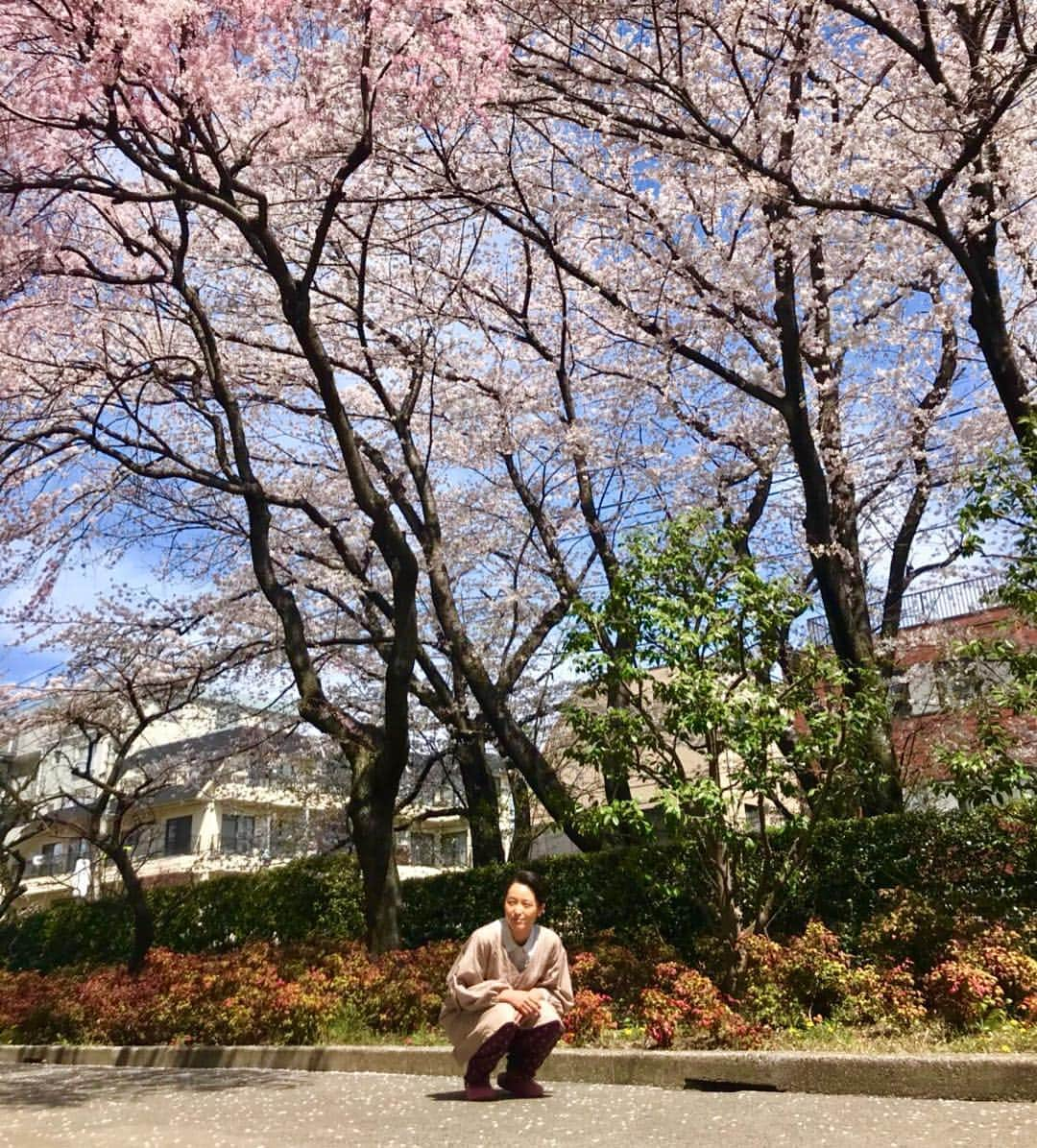 清野菜名さんのインスタグラム写真 - (清野菜名Instagram)「🌸 もんぺ 割烹着 桜 お母さん おつかれーらいす #やすらぎの刻道」4月9日 15時51分 - seinonana