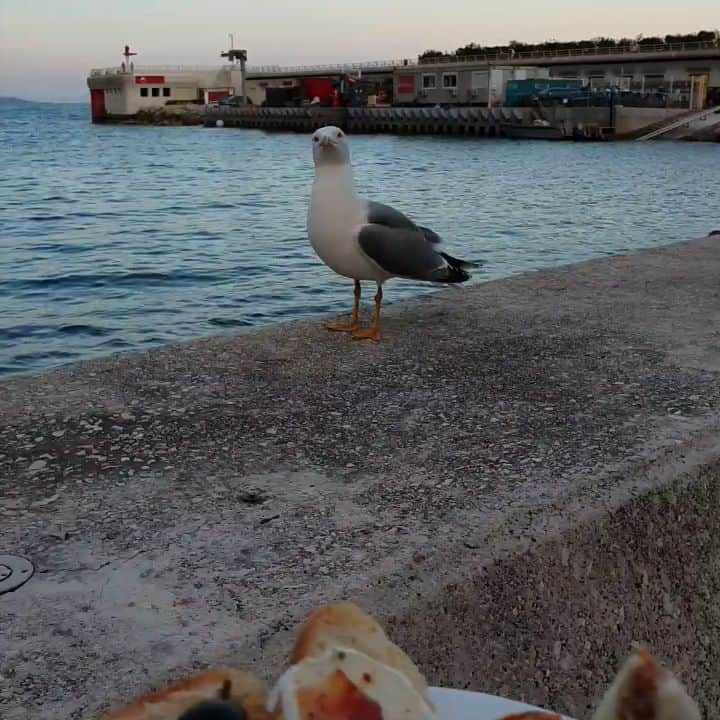 チョン・ヘビンのインスタグラム