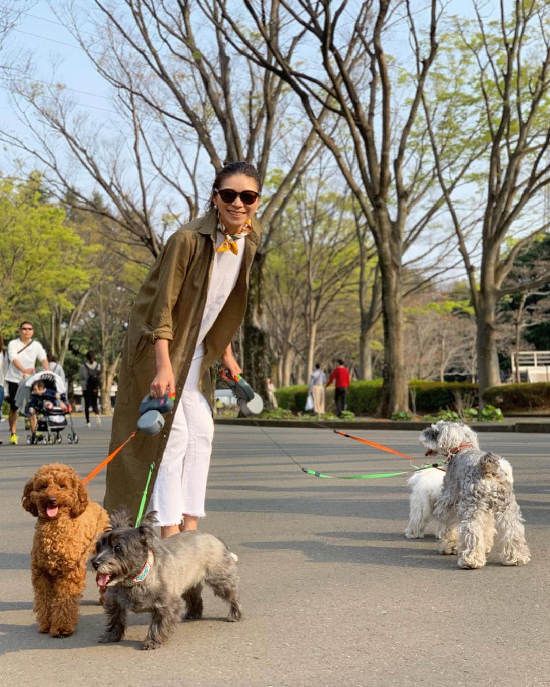 大日方久美子さんのインスタグラム写真 - (大日方久美子Instagram)「・ Outfit ☆ ・ Long Shirt → @urs_official  T-Shirt → #hanes × #BEEFY Denim → @cookiechocolate_official  Scare → #hermes Shoes → #converse ・ ・  4匹一緒に久しぶりのお散歩！ お散歩苦手なヴィヴィムーは、隙あらば抱っこしてー！とせがんできます。  それでもムーちゃんは、お散歩でトイレができるようになってきたので、少しは慣れてきたみたい。  ヴィヴィは相変わらず尻尾は下がりっぱなしで、不安そうな素振り。抱っこすれば安心した顔を見せるから、無理に外に連れて行かなくてもいいのかな🤔  ゴミ袋に入れられて捨てられていたヴィヴィ。まだ忘れられないのかも。と思うと胸が苦しくなって、思わず抱きしめてしまいます。  @hana_matsushima_animal さんの投稿で、まだまだ沢山の保護された子達がいる現実を知らせてくれています。今の私は大型犬を一時預かりすらしてあげることができません。大型犬でも一時預かり、里親になれる方が  @hana_matsushima_animal さんの投稿を見欲しい🙏🏻 ・ この現実を1人でも多くの人に知ってもらいたいし、一時預かりでもいいから、手を差し伸べてくださる方が増えるよう願っています。  できることをできる人ができる時に。  人間の勝手で捨てられる動物たちがいなくなる日が来るまで、私も出来ることを続けます🙏🏻 ・ ・ #kumicloset  #保護犬 #保護犬を家族に  #保護犬を飼おう  #キャンディ師匠 #保護犬jiro #保護犬vivienne  #保護犬ムーちゃん」4月9日 15時49分 - kumi511976