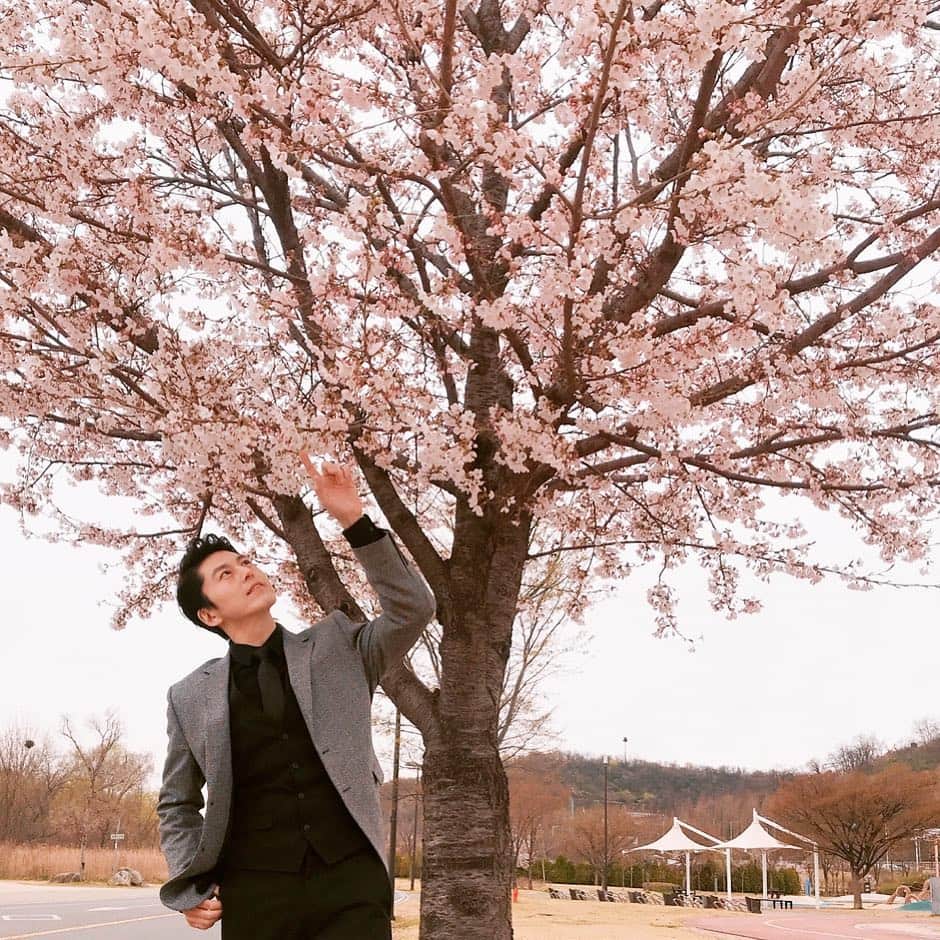 リュ・スヨンさんのインスタグラム写真 - (リュ・スヨンInstagram)「#촬영중 #슬플때사랑한다 #꽃놀이」4月9日 15時58分 - suyoung_ryu