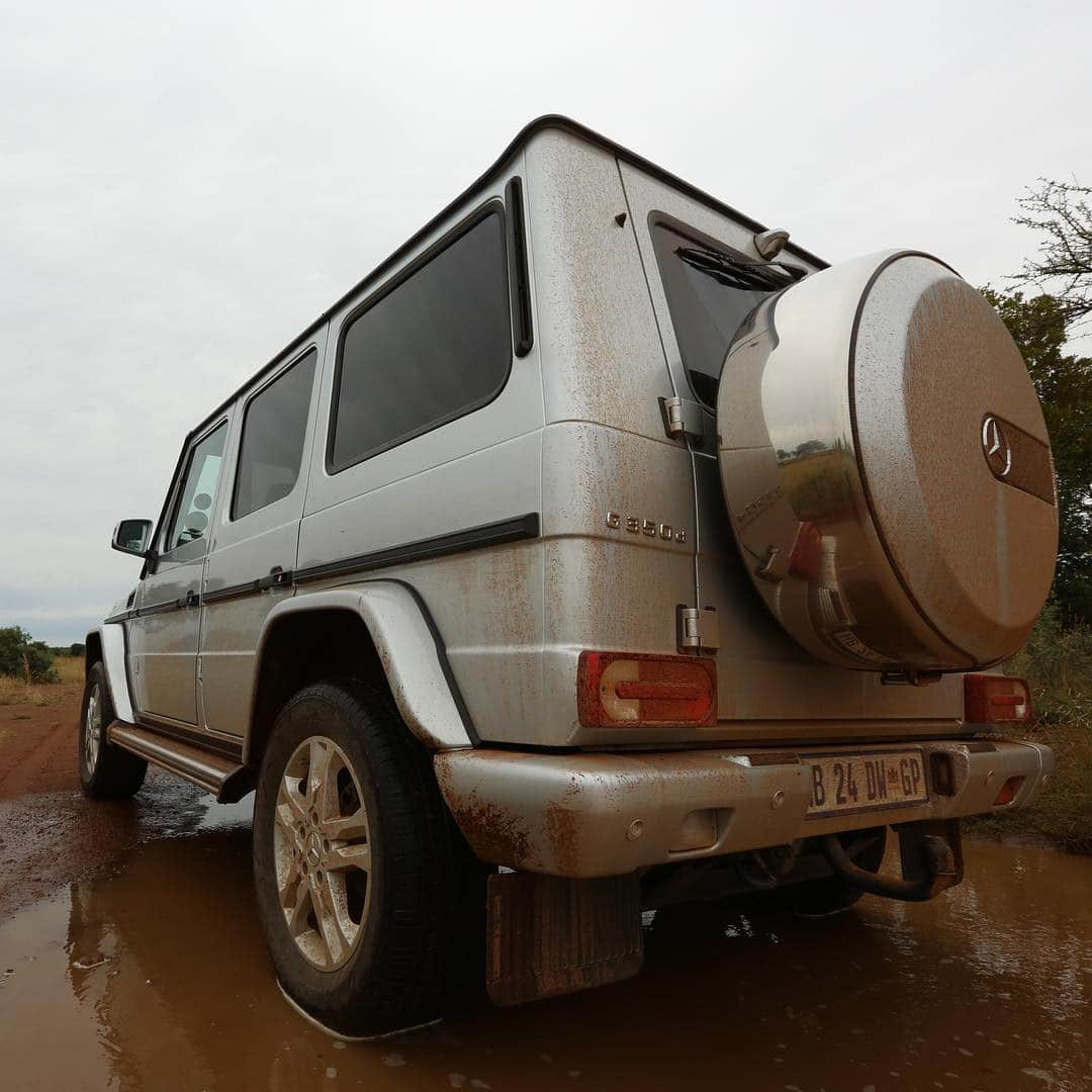 Kevin Richardson LionWhisperer さんのインスタグラム写真 - (Kevin Richardson LionWhisperer Instagram)「A #gwagen in its element! Off road and having fun in the mud! Unfortunately many G class owners never truly experience how capable these vehicles are, because they don’t venture where the vehicles were built to go. #strongerthantime #gwagon #gclass #g350d #offroading #everyterrain」4月9日 16時09分 - lionwhisperersa