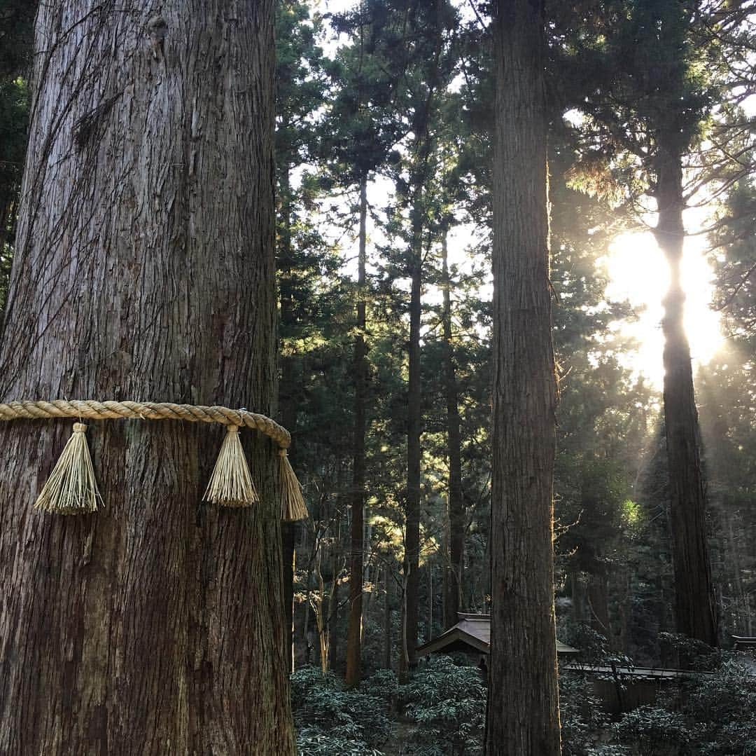 田上よしえさんのインスタグラム写真 - (田上よしえInstagram)「茨城にある「御岩神社」へ行って来ました⛩ 188柱の神々が祀られているとの事なので、一気に全国の神様コンプリート！ しかし…山頂まで登ると軽い登山でLIFEは瞬く間に０になり、神社を味わう余裕など全くありませんでした泣。 次はLIFE50は残す！✊ #御岩神社  #茨城県  #日立 #神社  #パワースポット #japan」4月9日 16時06分 - tanoueyoshie