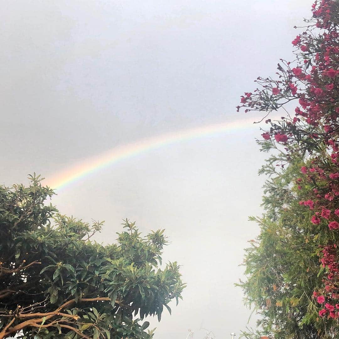 エレナ・サチンのインスタグラム：「Made a wish 🌈 (update: it came true)」