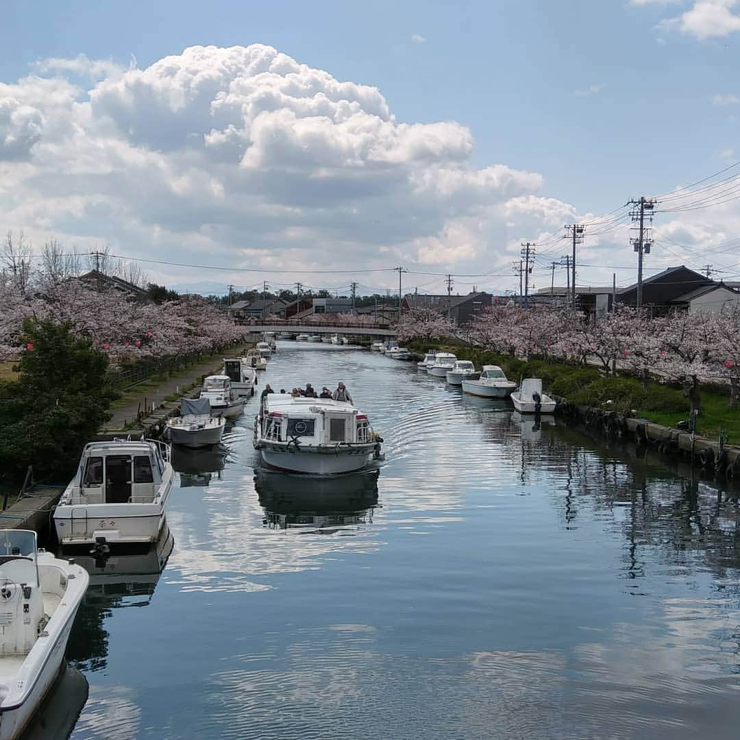 川久保秀一さんのインスタグラム写真 - (川久保秀一Instagram)「いいお天気！ 射水市は富山のヴェニス。映画のロケ地でも有名。「みゆきんぐ」こと佐藤みゆきさん主演の「真白の恋」もここで。  #真白の恋 #ロケ地 #内川 #マリコとヒデーズ」4月9日 16時11分 - hidekazu_kawakubo