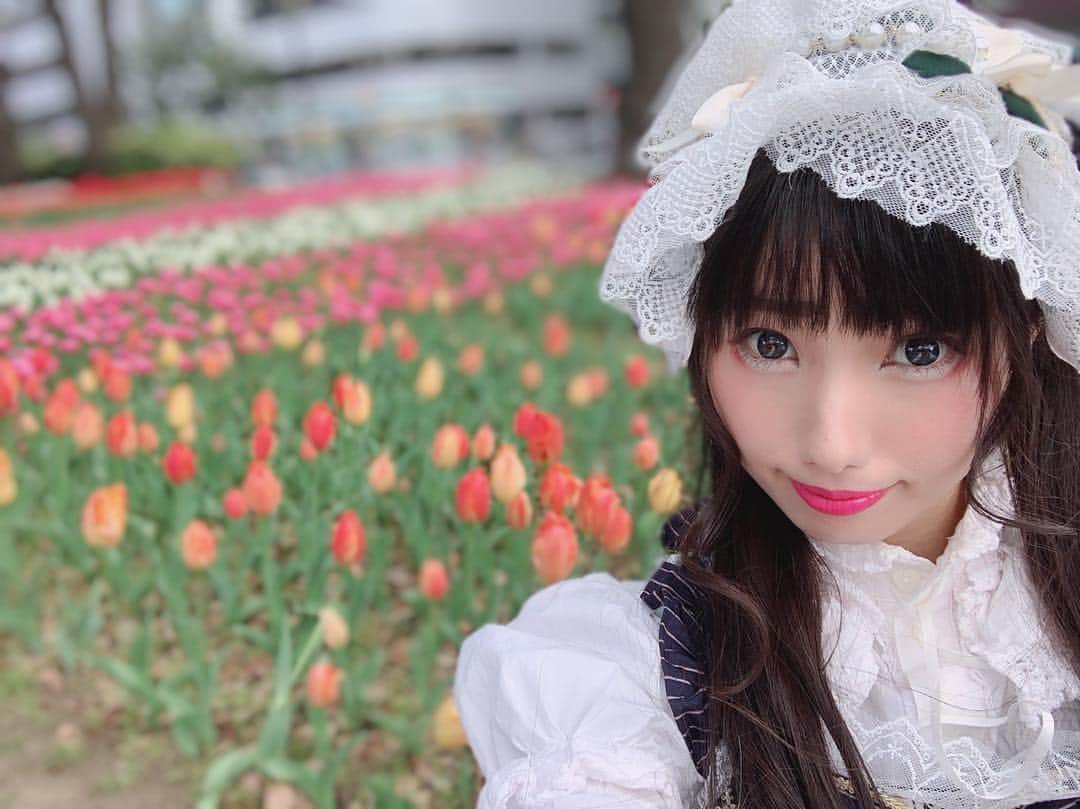 秋元るいのインスタグラム
