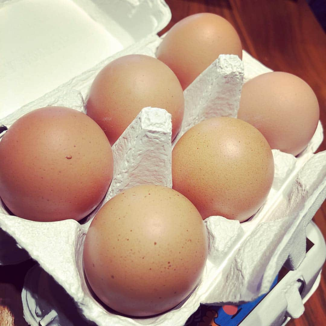 木村真野さんのインスタグラム写真 - (木村真野Instagram)「アスリート＝情熱のろべると。 🥚美味しい🐓安心🐔安全 #egg #japan #safety #love #special #athlete #sports #swim #swimmer #water #kitchen #cooking #thankyou #卵 #安心 #安全 #情熱のろべると #美味しい #たまごクラブ #🥚」4月9日 16時27分 - mayakimura5