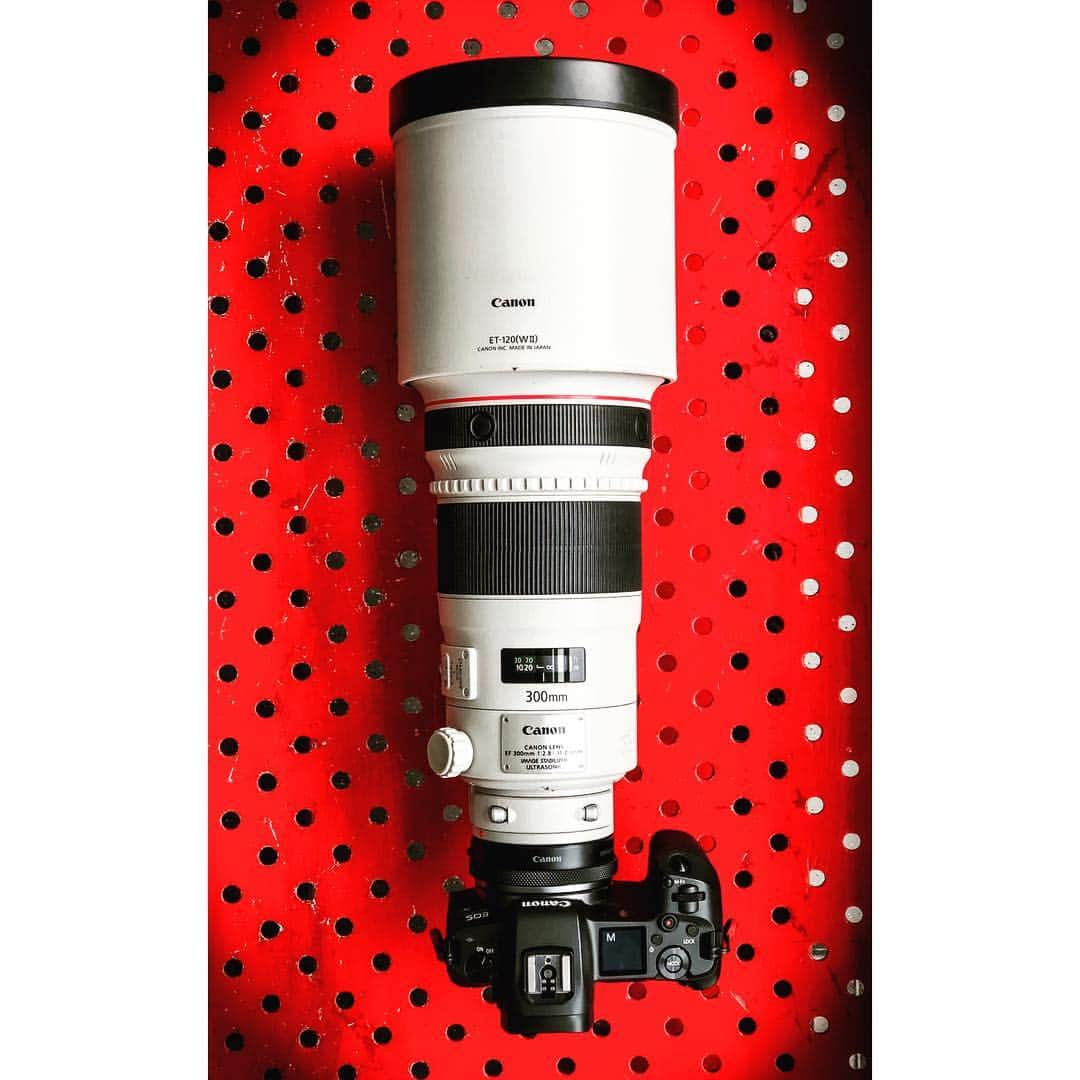 アンディ・チェンさんのインスタグラム写真 - (アンディ・チェンInstagram)「Canon EOS R with a  Canon 300mm f2.8 IS L II #Canon #canon📷 #canongear #canongearnerd #canoneos #canonphoto #canonusa #teamcanon #canonglobal #photograph #photography #photographer #photooftheday #redring #instagood #cameragear #camerastoday #newgear #photogear #lseries #eosr #mirrorlesscamera #mirrorless #canon_taiwan」4月9日 16時28分 - myhiro99