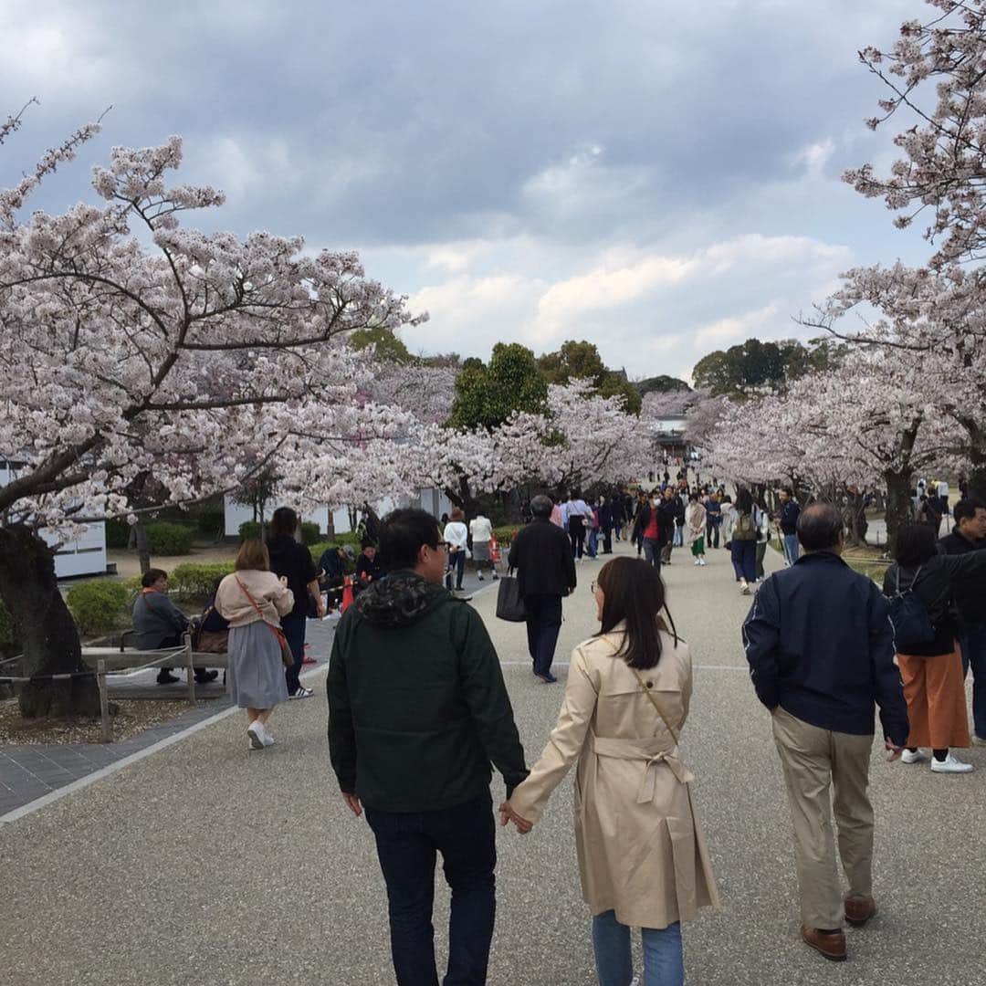 杉山愛さんのインスタグラム写真 - (杉山愛Instagram)「最高のお天気に恵まれた昨日🏯姫路城🏯に行ってきましたーーーーーっ 最高の🌸さくら🌸を堪能しました💕  帰ろうとした時、信じられないことにタイの🇹🇭テニス選手🇹🇭タマリン・タナスガーン選手にバッタリ会ったのでしたーーーーーっ‼️ こんな偶然あるんですね〜😆ビックリ😆」4月9日 16時43分 - aisugiyamaofficial