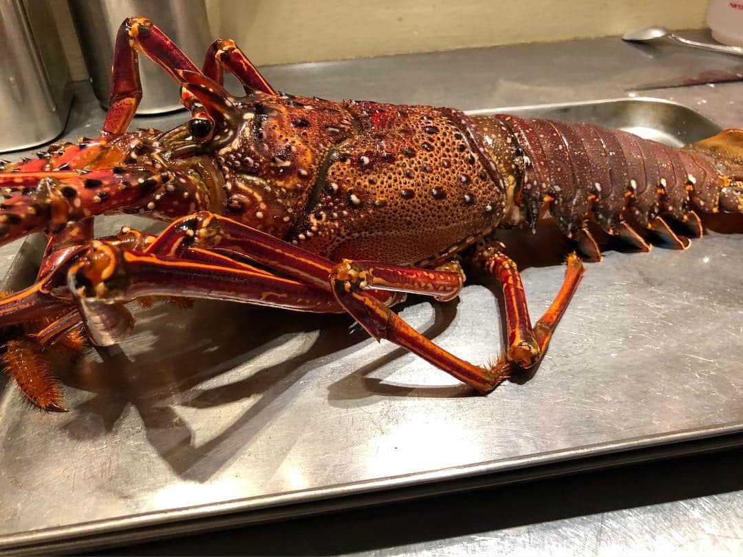 浪花ろばた 頂鯛 北新地店のグルメインスタ