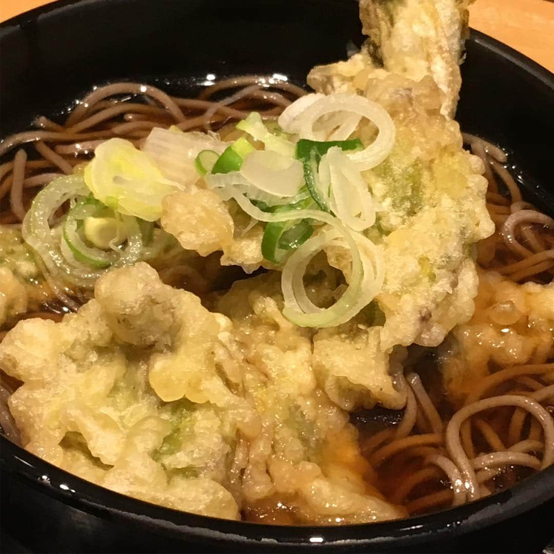 柳家さん生さんのインスタグラム写真 - (柳家さん生Instagram)「4/9昼ご飯だぁ〜よもたそば日本橋のふきのとう天そば🤤 #さん生 #よもだそば  #ふきのとう天ぷら  #」4月9日 16時45分 - waraiguma1957