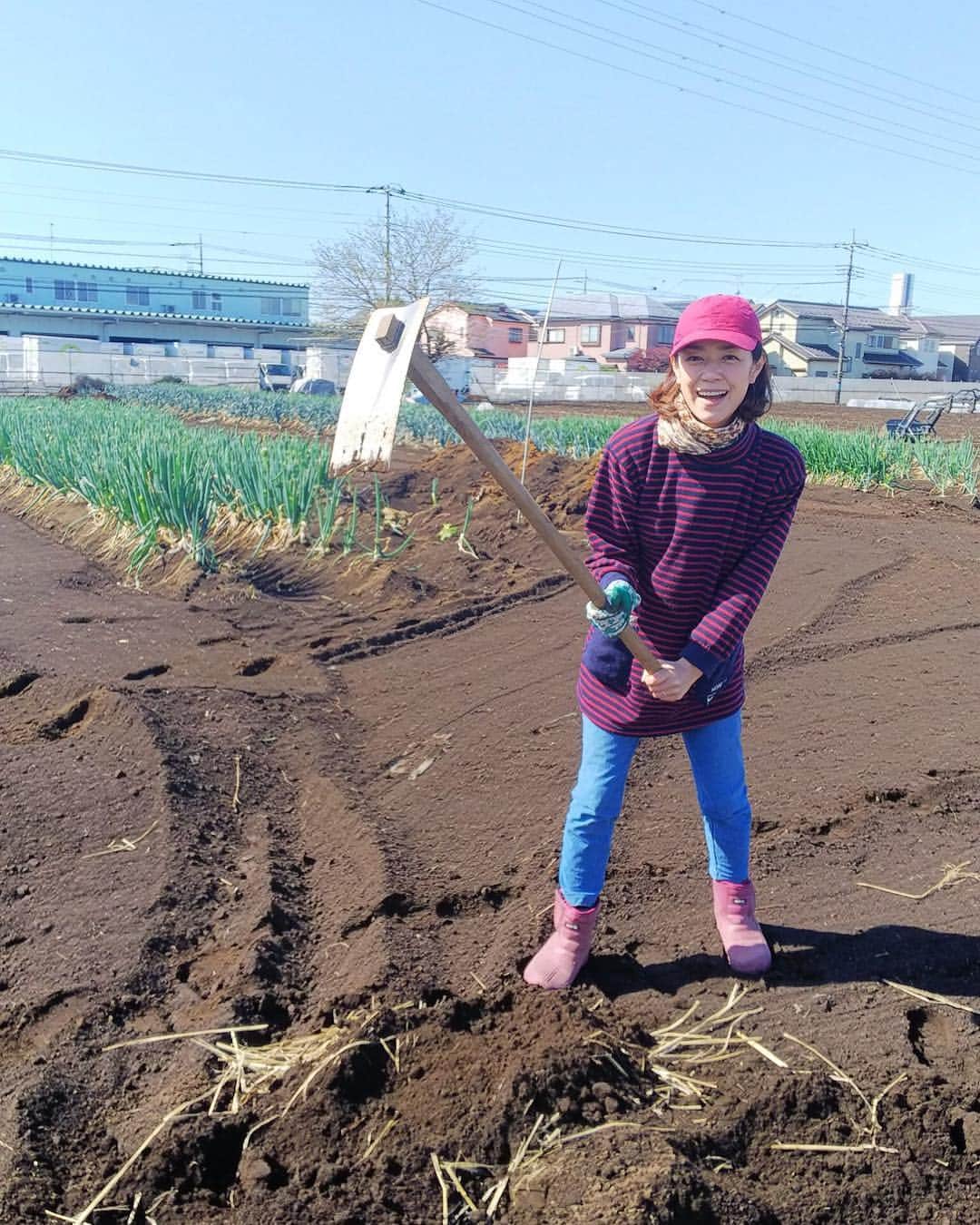 加藤紀子のインスタグラム：「朝は畑👩‍🌾 午後はNHK-FM「トーキングウィズ松尾堂」の収録🙎🏻‍♂️🙍🏻‍♀️ 一日を満喫っ！ （さらに今夜は鳥刺しナイトってあぁ幸せ）  #かとのり農園 #夏野菜の準備2019 #トーキングウィズ松尾堂 #NHKFM  #鳥刺しはおろしにんにく派」