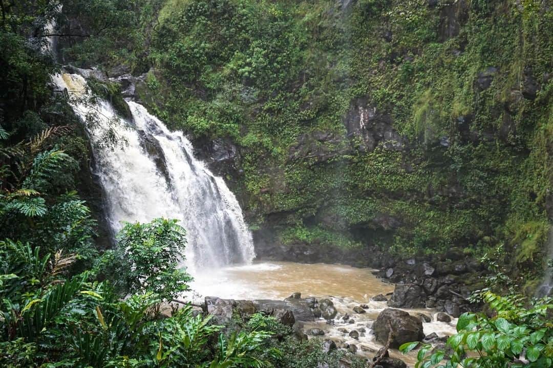 ハワイアン航空さんのインスタグラム写真 - (ハワイアン航空Instagram)「たまには流れに沿って歩くのもいいかも．．．。 🏞 📍 マウイ島、ハナへの道」4月9日 17時00分 - hawaiianairlinesjp