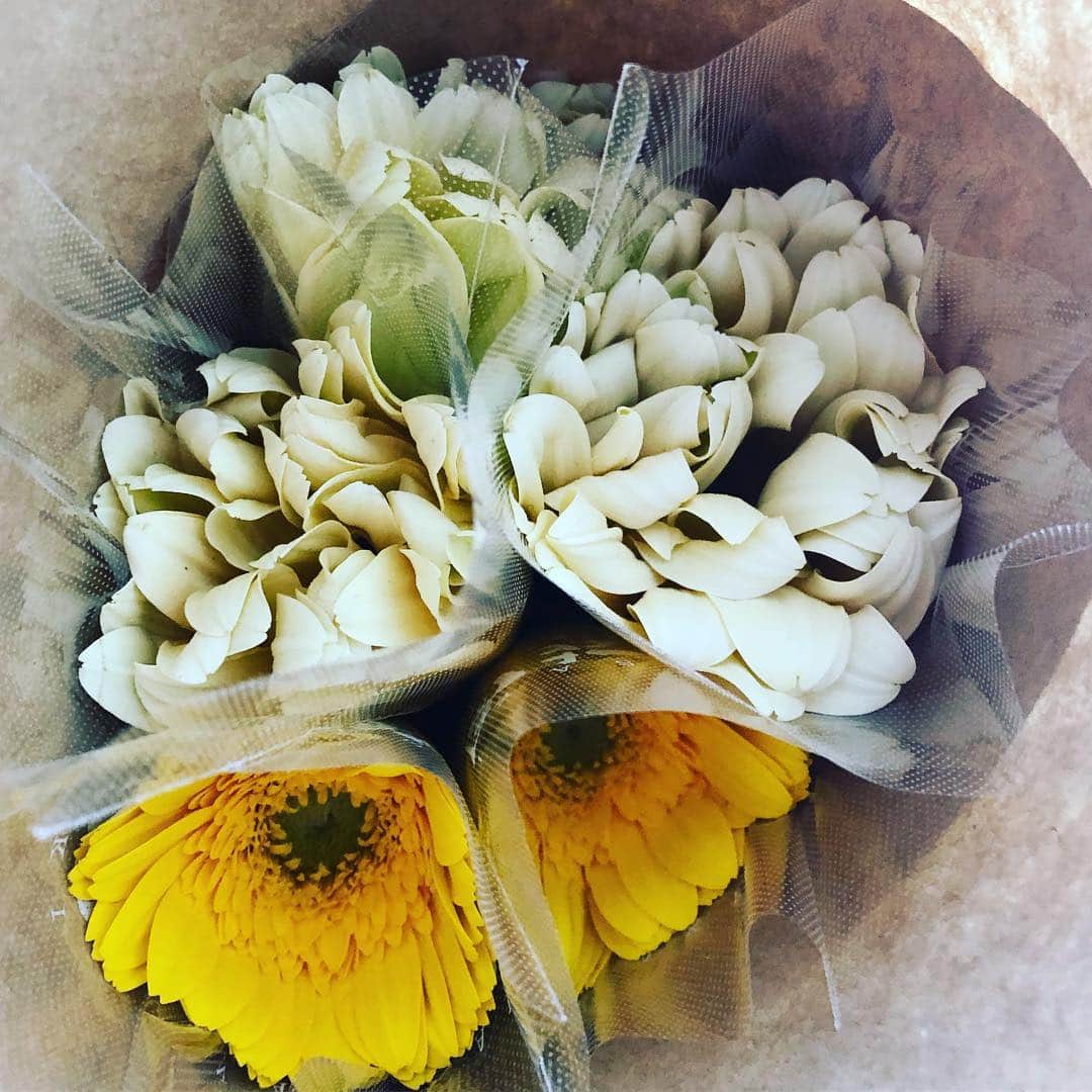 阿部洋子さんのインスタグラム写真 - (阿部洋子Instagram)「❁ #今日のお花  #flower  #gerbera」4月9日 17時18分 - hirocoring