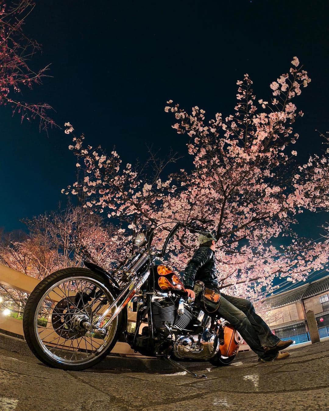 GoProさんのインスタグラム写真 - (GoProInstagram)「絶景の夜桜 + バイク のコラボ 🌸🎶 📍京都、祇園白川 📷 @knuckle_head ・ 春のチャレンジ開催中！お気に入りの旅作品を #GoProTravelJapan + #GoProJP のタグをつけてInstagramで投稿してGoProアワードに応募するだけで、豪華な賞品をゲットできるかも？GoPro.com/awards に作品をアップする際は「チャレンジ」覧で「 #TripOn 」を選択してから応募してくださいね👌 ・ ・ #GoPro #GoProJP #京都 #祇園白川 #夜桜 #ハーレー #ハーレーダビッドソン #バイク」4月9日 17時36分 - goprojp