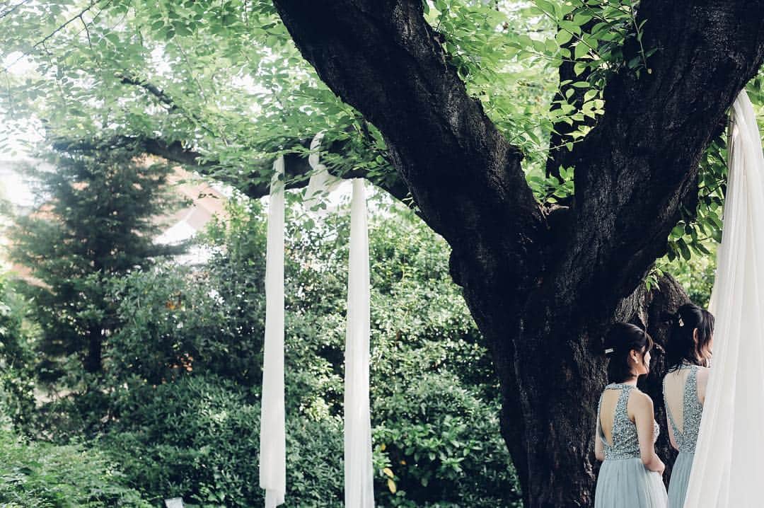 ラクラリエールのグルメインスタ