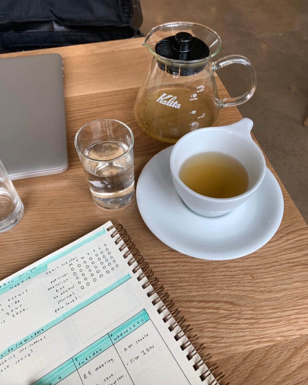 ジェーン・アルドリッジのインスタグラム：「Hello Capricorns, Virgos, other goal oriented and organization focused personality types: I have a post up on how I use my bullet journal for productivity and habit tracking! Link is in my bio. This has been a huge game changer in my life over the past year and it took my a long time to come up with a system that worked for me. Do you use a planner or bullet journal? What’s your system like?」