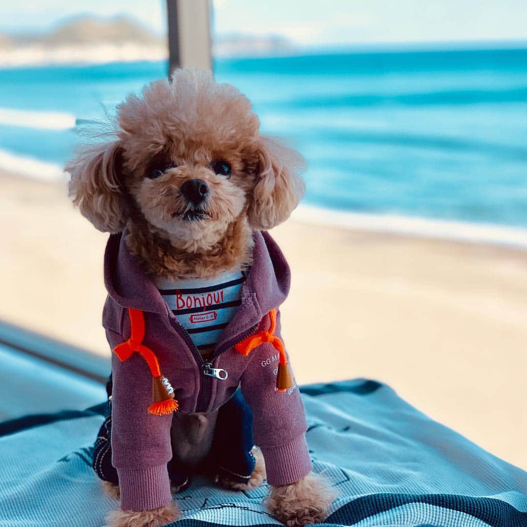 ❤︎Till❤︎のグルメインスタ