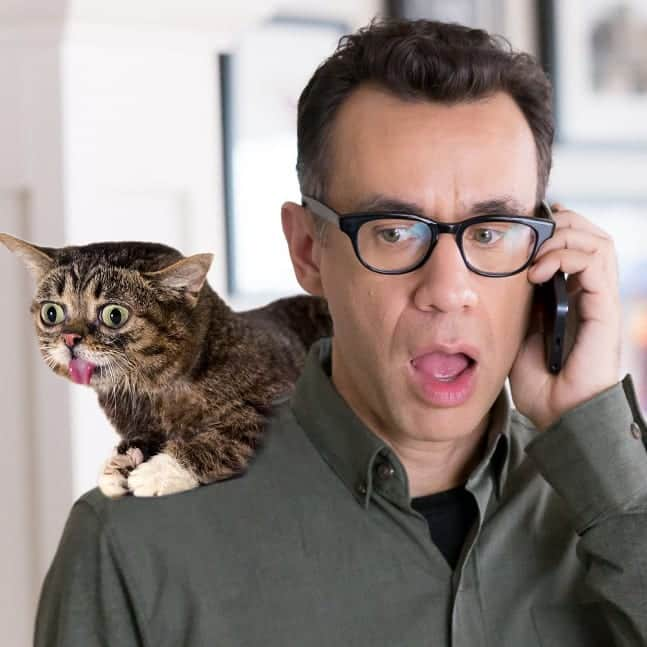 Lil BUBさんのインスタグラム写真 - (Lil BUBInstagram)「When Lil BUB and Fred Armisen got the call that they're doing Lil BUB's Big SHOW together THIS Sunday! Don't miss this historic live event - get your tickets at the link in BUB's bio. All proceeds benefit homeless pets! #lilbub #fredarmisen #portlandia #iamlilbub」4月10日 3時50分 - iamlilbub