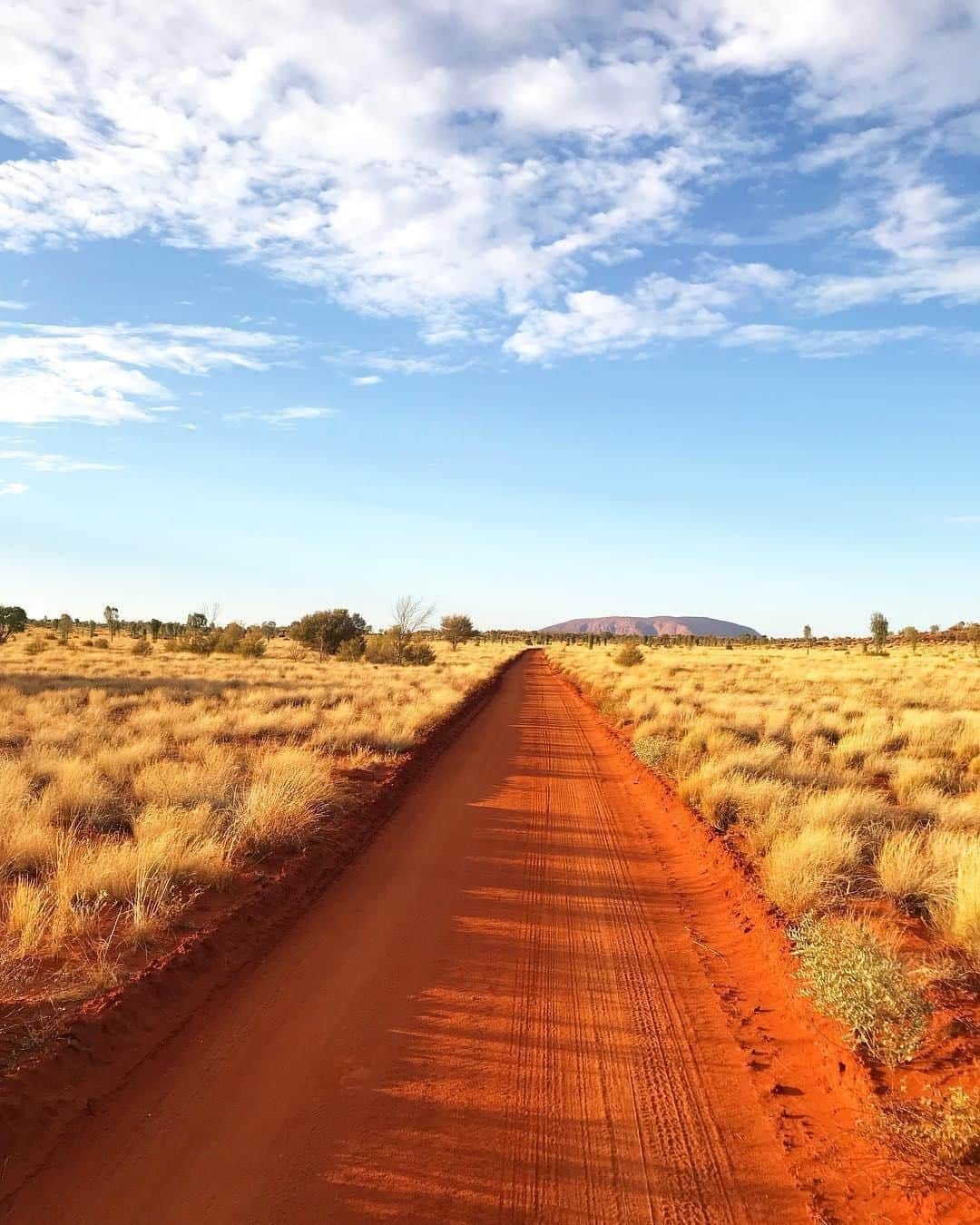 Australiaさんのインスタグラム写真 - (AustraliaInstagram)「Now, THIS is what we call a “red carpet entrance” 👏@stacigodbeer fittingly referred to the road leading to @longitude131 and @seeuluru like that, and it does look rather perfect for a VIP arrival. 😉 @visitcentralaus’s signature bright red sand makes entry to this @luxurylodgesofaustralia retreat feel extra grand (and rightfully so!), since it is @ntaustralia’s most luxe safari experience. Enjoy panoramic views of #Uluru from every part of #Longitude131; from the king-sized bed in your tented pavilion, over lunch in The Dune House, and even while you’re having a dip in the outdoor pool. The retreat can curate bespoke experiences for you (think private helicopter flights and dinner under the stars) to ensure you have an unforgettable #outback visit.  #seeaustralia #NTaustralia #RedCentreNT #longitude131 #luxurylodgesofaustralia #travel #baillielodges」4月10日 4時01分 - australia