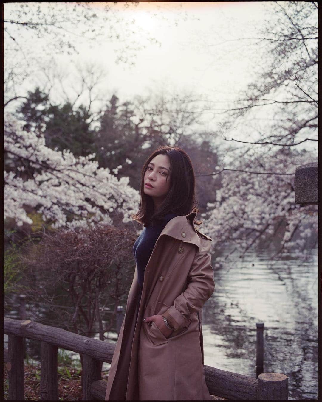 東條公美さんのインスタグラム写真 - (東條公美Instagram)「桜は散るころが一番美しいと思ってる。 ph/ @kageakis」4月9日 19時52分 - tomomi_tojo