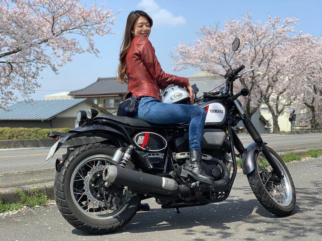 中嶋真緒さんのインスタグラム写真 - (中嶋真緒Instagram)「SCR950生産終了のお知らせ😭 ﻿ ﻿ ﻿  ただでさえ乗ってる人見た事ないのに…😭😭w すごいさみしい気分🥺💙 ﻿ ﻿ 購入を考えている方 お近くのYSPへ行きましょう😉💓笑  #ysp #バイク購入 #生産終了 #生産終了モデル  #まおのバイク #ヤマハバイク #ヤマハ#taichi #rx7x #バイク #大型#アライ #arai #ツーリング #バイクツーリング #バイク女子 #bikegirl #scr950 #yamaha #yamahaが美しい #夜ツー #ハマる #バイク女子と繋がりたい #バイク好きな人と繋がりたい #休日 #❤️#レディースバイク #レディースバイカー」4月9日 19時56分 - mao.nkjm