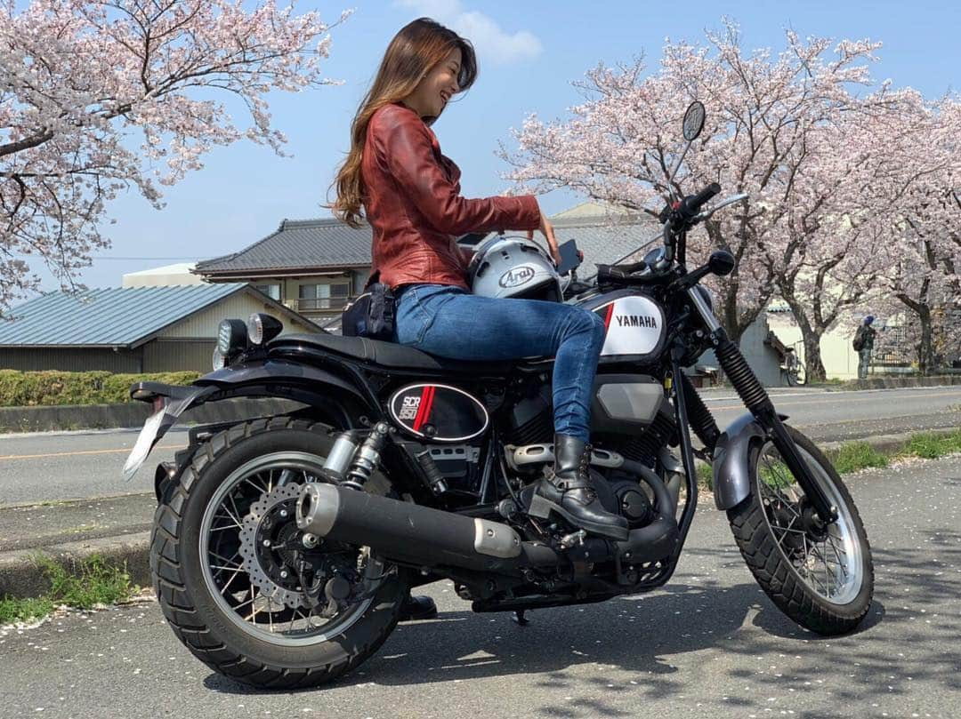 中嶋真緒さんのインスタグラム写真 - (中嶋真緒Instagram)「SCR950生産終了のお知らせ😭 ﻿ ﻿ ﻿  ただでさえ乗ってる人見た事ないのに…😭😭w すごいさみしい気分🥺💙 ﻿ ﻿ 購入を考えている方 お近くのYSPへ行きましょう😉💓笑  #ysp #バイク購入 #生産終了 #生産終了モデル  #まおのバイク #ヤマハバイク #ヤマハ#taichi #rx7x #バイク #大型#アライ #arai #ツーリング #バイクツーリング #バイク女子 #bikegirl #scr950 #yamaha #yamahaが美しい #夜ツー #ハマる #バイク女子と繋がりたい #バイク好きな人と繋がりたい #休日 #❤️#レディースバイク #レディースバイカー」4月9日 19時56分 - mao.nkjm