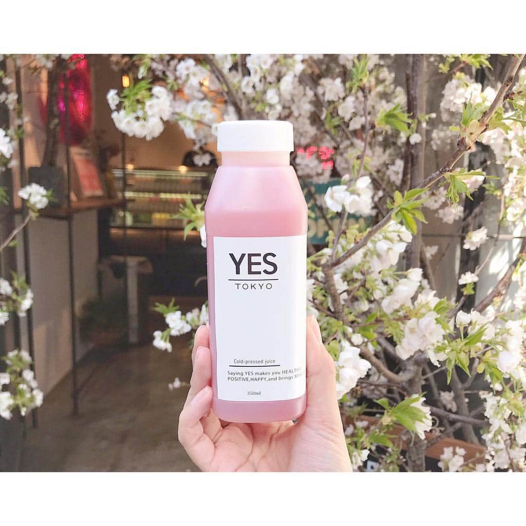 andGIRLのグルメインスタ