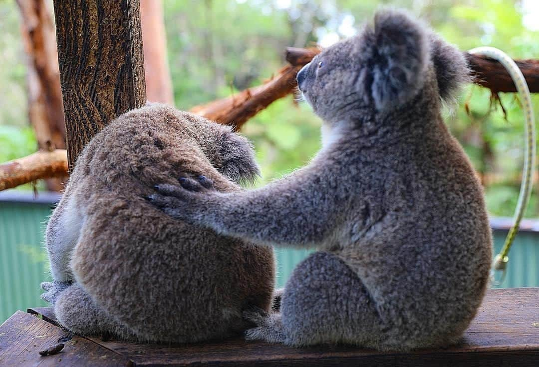 Australiaのインスタグラム