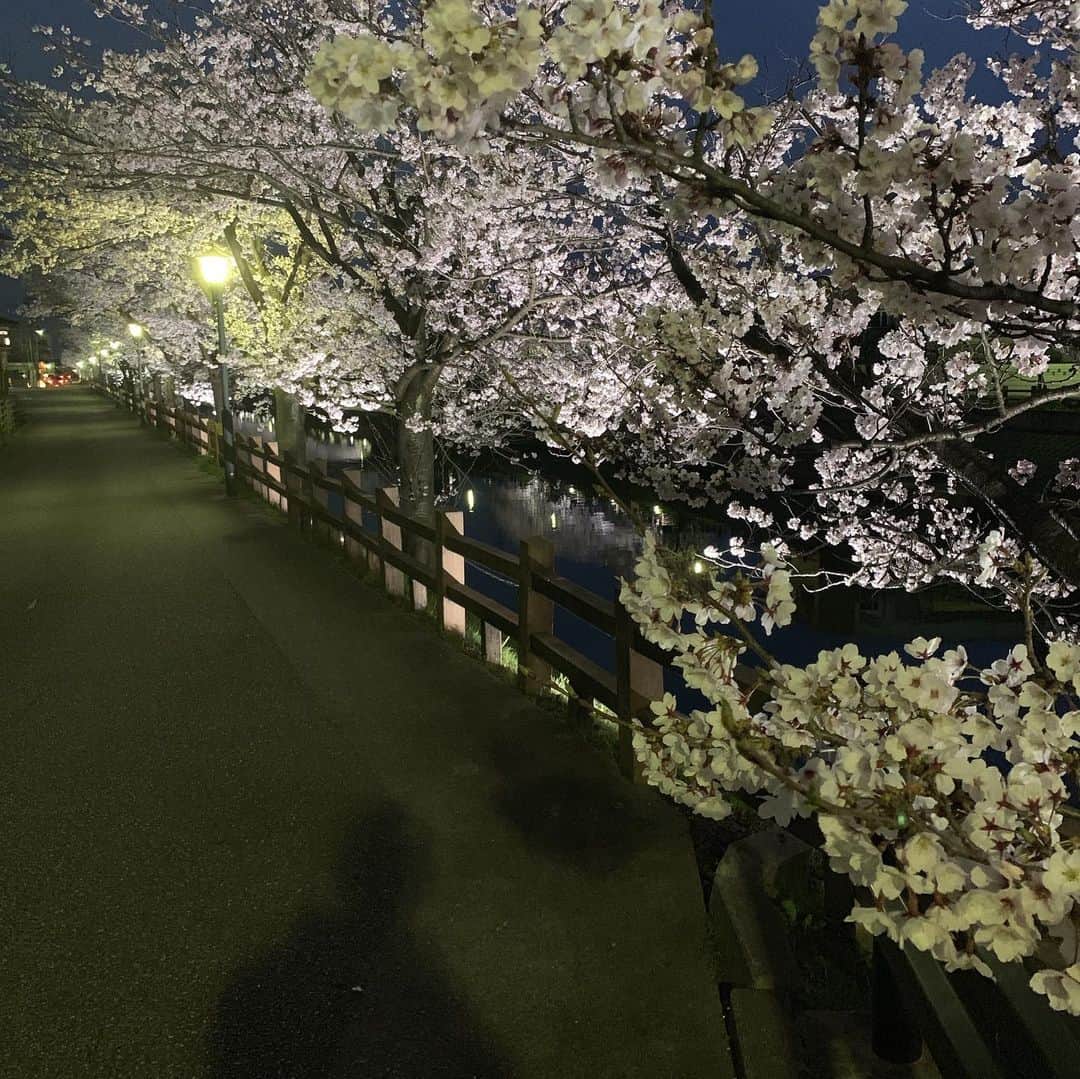 阿部友和さんのインスタグラム写真 - (阿部友和Instagram)「病院帰りの帰り道。めっちゃ素敵なとこ発見。花見したーい。  #富山 #射水 #桜 #花見 #夜桜」4月9日 20時13分 - tomokazu_abe